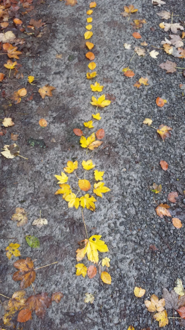 Beim Waldbaden ein Weg aus gelben Blättern gelegt