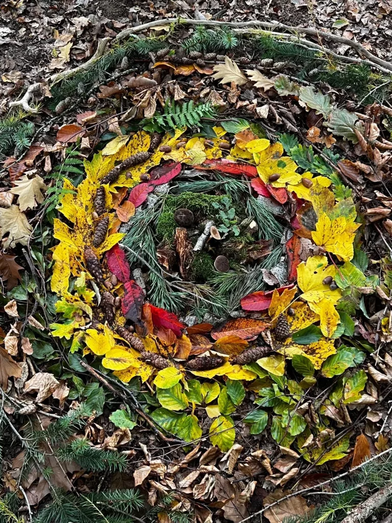 Mandala aus Naturmaterialien im Wald