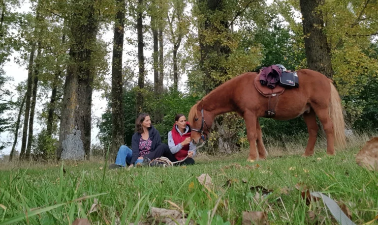 wandern coaching pferd