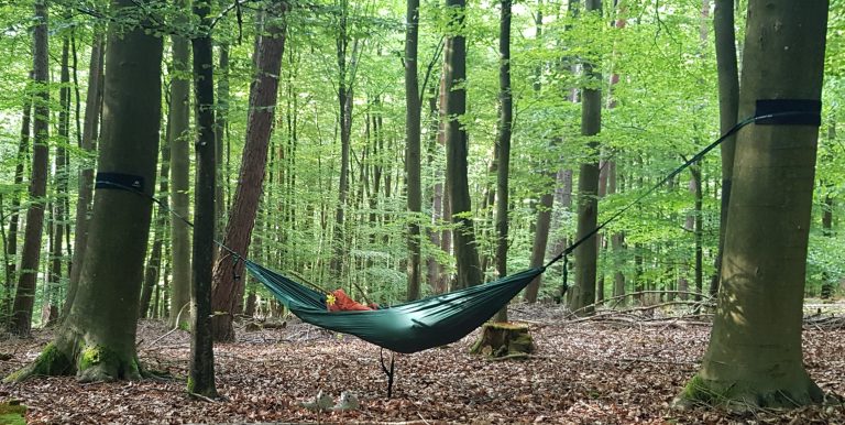 Entspannung Haengematte Wald